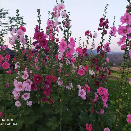 Phu Pai Art Resort Mae Hong Son Ngoại thất bức ảnh
