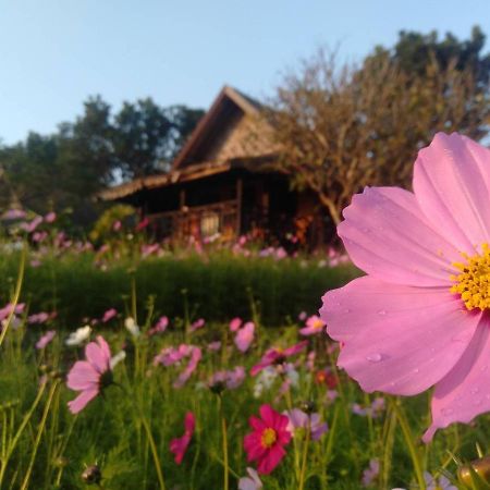 Phu Pai Art Resort Mae Hong Son Ngoại thất bức ảnh