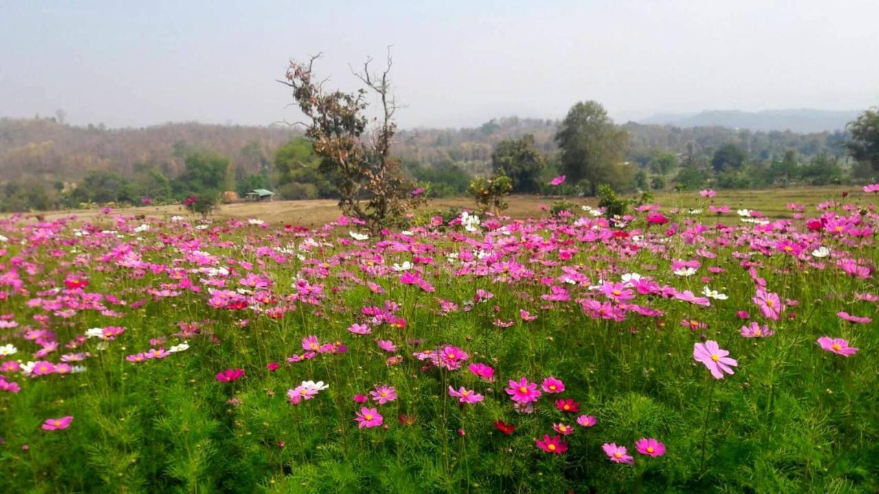 Phu Pai Art Resort Mae Hong Son Ngoại thất bức ảnh