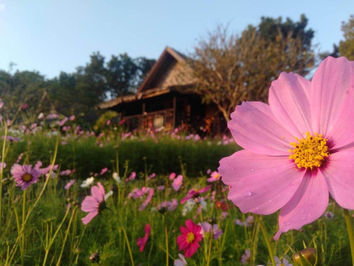 Phu Pai Art Resort Mae Hong Son Ngoại thất bức ảnh